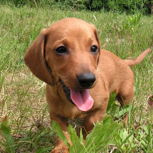 Meet your Posher, Jackie